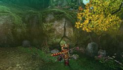 Monster Hunter Portable 3rd - 14