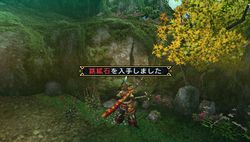 Monster Hunter Portable 3rd - 15