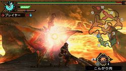Monster Hunter Portable 3rd - 1