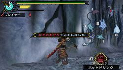 Monster Hunter Portable 3rd - 1