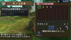 Monster Hunter Portable 3rd - 21