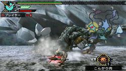 Monster Hunter Portable 3rd - 5