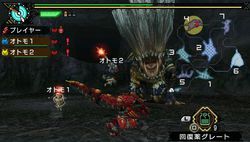 Monster Hunter Portable 3rd - 6