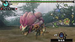 Monster Hunter Portable 3rd - 7