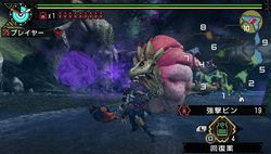 Monster Hunter Portable 3rd - 8
