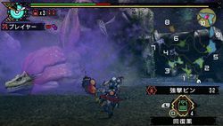 Monster Hunter Portable 3rd - 9