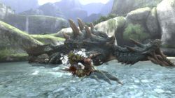 Monster Hunter Tri - 10