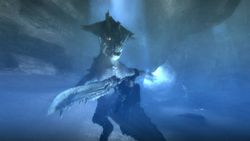 Monster Hunter Tri - 11