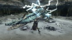 Monster Hunter Tri - 3