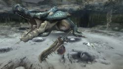 Monster Hunter Tri - 4