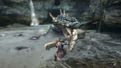 Monster Hunter Tri - 5