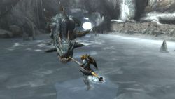 Monster Hunter Tri - 8