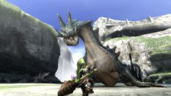 Monster Hunter Tri - 9