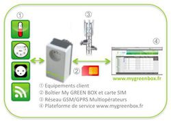 My Green Box