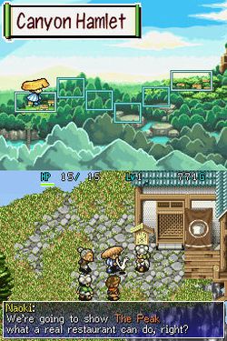Mystery Dungeon : Shiren The Wanderer   1