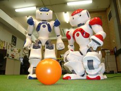 NAO-robot