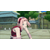 Naruto Shippuden Ultimate Ninja Storm Generations en images