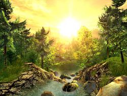 nature screen 1