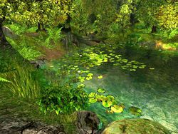 nature screen 2