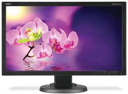 Nec MultiSync E231W