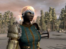 Neverwinter Nights 2 Mask of the Betrayer   Image 6