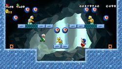 New Super Mario Bros Wii (5)
