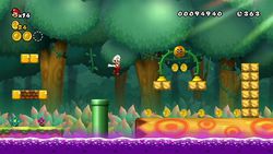New Super Mario Bros Wii (6)