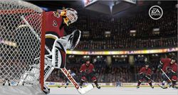 NHL 08   28