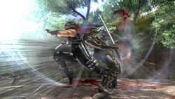 Ninja gaiden 2 image 13