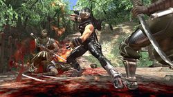 Ninja gaiden 2 image 14