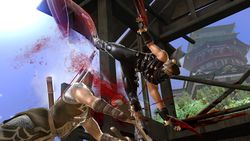 Ninja gaiden 2 image 15