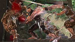 Ninja gaiden 2 image 16