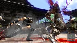 Ninja gaiden 2 image 2
