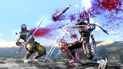 Ninja gaiden 2 image 5