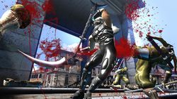 Ninja gaiden 2 image 9