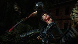 Ninja Gaiden 3 (1)