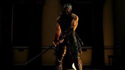 Ninja Gaiden 3 (3)