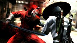 Ninja Gaiden 3