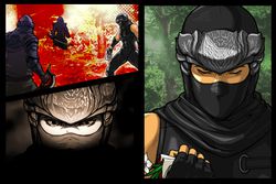 Ninja Gaiden Dragon Sword   4