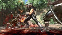 Ninja gaiden ii 3