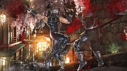 Ninja Gaiden II 3