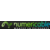Numericable : forfait mobile illimité à 19,99 € / mois