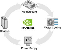 NVIDIA cycle