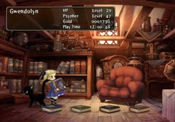Odin Sphere (Version US)   Image 9