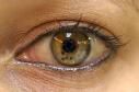 Oeil - Yeux