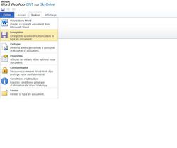 Office-Web-Apps-2