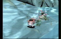 Okami Wii (3)