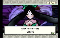 Okami Wii (8)