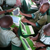 OLPC : abandon du XO-2 mais ambitions intactes