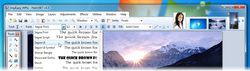 Paint.NET